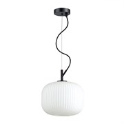 {{photo.Alt || photo.Description || 'Подвесной светильник ODEON LIGHT PENDANT ROOFI, Белый, 60 Вт, 4753/1'}}