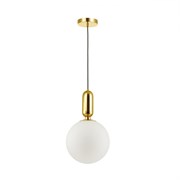 {{photo.Alt || photo.Description || 'Подвесной светильник ODEON LIGHT PENDANT OKIA, Золотой/Хром, 40 Вт, 4672/1'}}