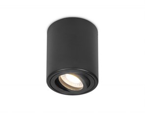 {{photo.Alt || photo.Description || 'Накладной светильник Ambrella Light TN226'}}