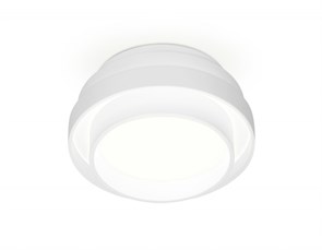 {{photo.Alt || photo.Description || 'Накладной светильник Ambrella Light TN601'}}