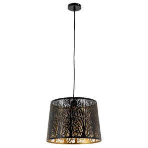 {{photo.Alt || photo.Description || 'Подвесная люстра ARTE Lamp A2769SP-1BK'}}