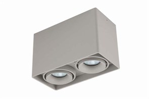 {{photo.Alt || photo.Description || 'Накладной светильник Donolux DL18611/02WW-SQ Silver Grey'}}