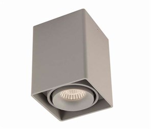 {{photo.Alt || photo.Description || 'Накладной светильник Donolux DL18611/01WW-SQ Silver Grey'}}