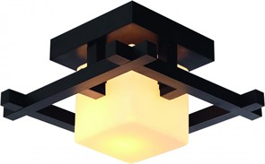 Накладной светильник ARTE Lamp A8252PL-1CK