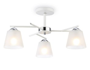 {{photo.Alt || photo.Description || 'Накладной светильник Ambrella Light TR303202'}}