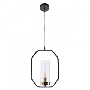 {{photo.Alt || photo.Description || 'Подвесной светильник ARTE Lamp A7004SP-1BK'}}