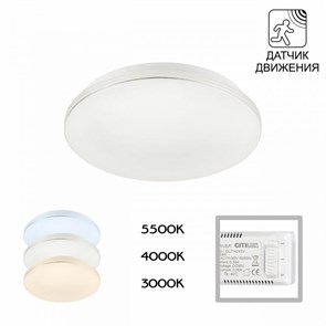 {{photo.Alt || photo.Description || 'Накладной светильник Citilux CL71424SV'}}