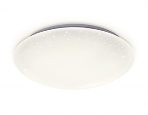 {{photo.Alt || photo.Description || 'Накладной светильник Ambrella Light FF42'}}