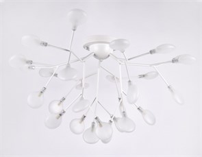 {{photo.Alt || photo.Description || 'Накладная люстра Ambrella Light TR3011'}}