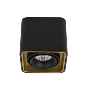 {{photo.Alt || photo.Description || 'Накладной светильник LeDron TUBING Black/Gold'}}