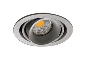 {{photo.Alt || photo.Description || 'Встраиваемый светильник Donolux DL18615/01WW-R Silver Grey/Black'}}