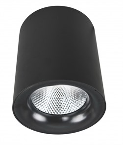 Накладной светильник ARTE Lamp A5130PL-1BK