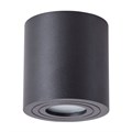 Влагозащищенный светильник ARTE Lamp A1460PL-1BK - фото 773196