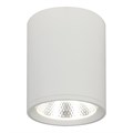 Накладной светильник Escada 20003SMU/02LED SWH - фото 783580