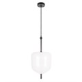 Подвесной светильник LOFT IT 10223/D White - фото 825301