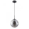 Подвесной светильник ARTE Lamp A9920SP-1BK - фото 843947