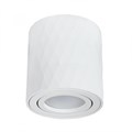 Накладной светильник ARTE Lamp A5559PL-1WH - фото 849278