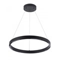 Подвесной светильник ARTE Lamp A2189LM-1BK - фото 850004