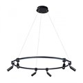 Подвесная люстра ARTE Lamp A2186SP-1BK - фото 850054