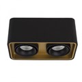 Накладной светильник LeDron TUBING 2 Black/Gold - фото 904418