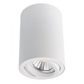 Накладной светильник ARTE Lamp A1560PL-1WH - фото 911171